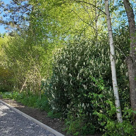 Eh Ma Biche * Stoumont